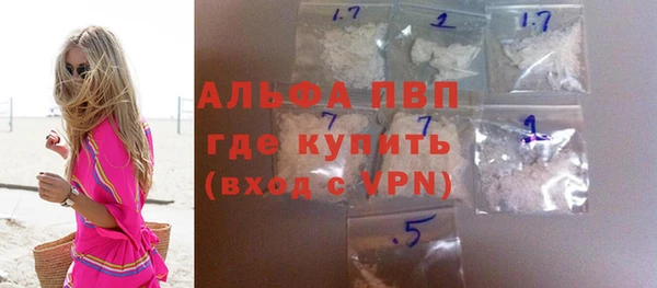 хмурый Магас