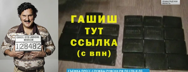 хмурый Магас