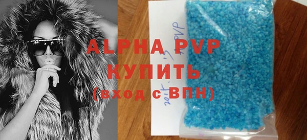 хмурый Магас