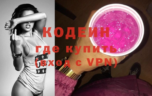 хмурый Магас