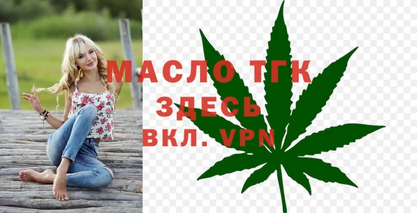 хмурый Магас