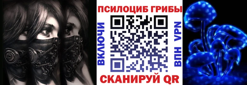 Псилоцибиновые грибы Psilocybe  kraken ССЫЛКА  Хилок  купить наркотик 