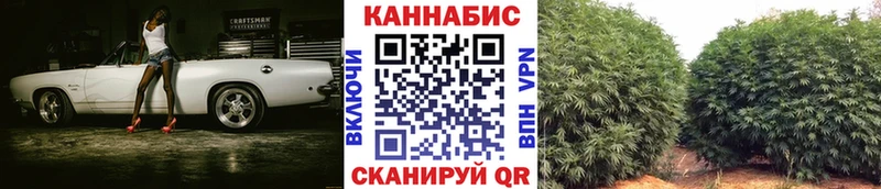 кракен как зайти  Хилок  Марихуана планчик  купить  